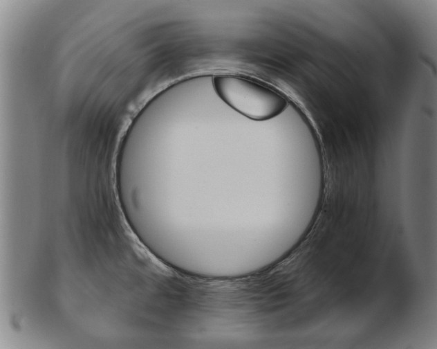 X0000103481480200809120916