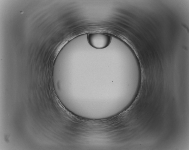 X0000103481481200809120916