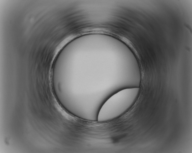 X0000103481482200809120916
