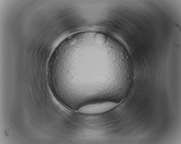 X0000103481483200809120916