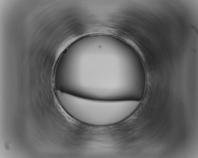 X0000103481485200809120916