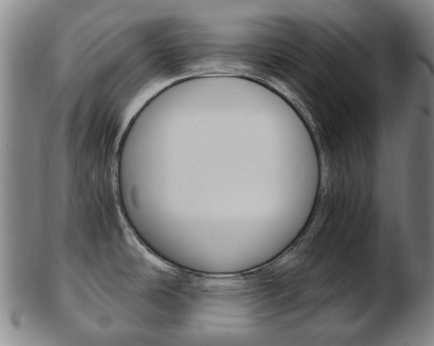 X0000103481486200809120916