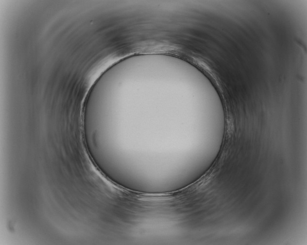 X0000103481487200809120916