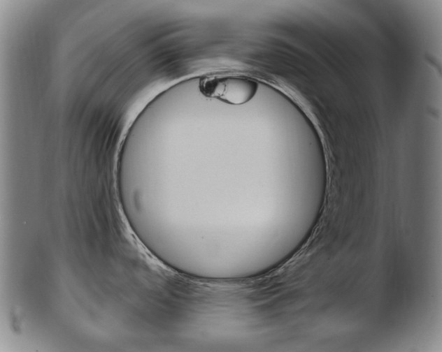 X0000103481488200809120916