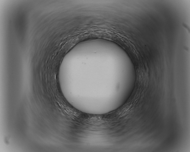 X0000103481489200809120916