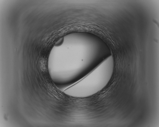 X0000103481490200809120916
