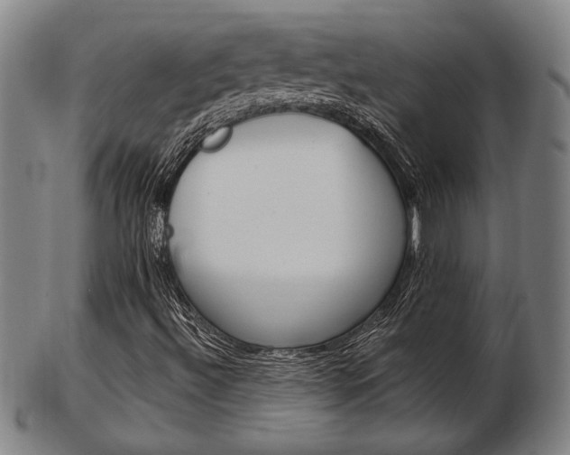X0000103481492200809120916