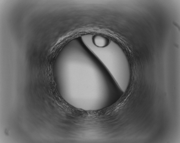 X0000103481494200809120916