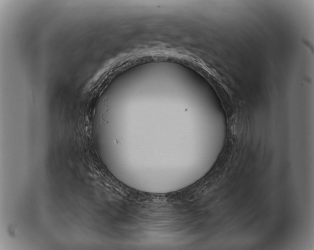 X0000103481495200809120916