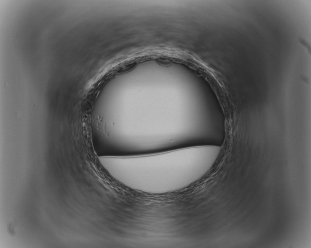 X0000103481496200809120916