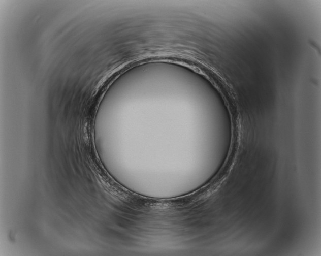 X0000103481497200809120916