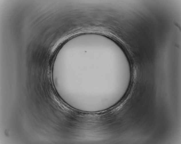 X0000103481498200809120916