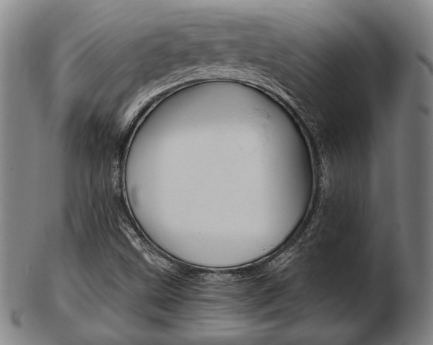 X0000103481499200809120916