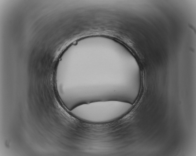 X0000103481500200809120916