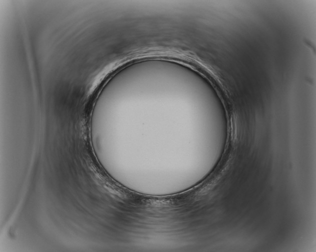 X0000103481501200809120916