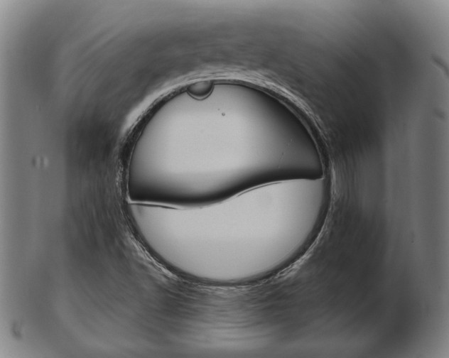 X0000103481502200809120916