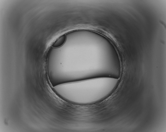 X0000103481504200809120916