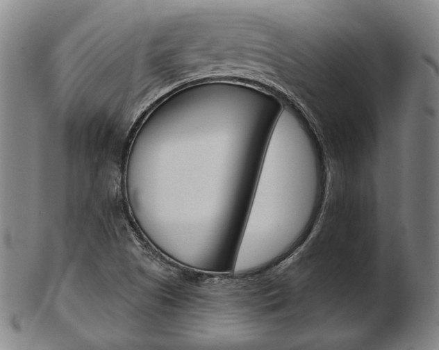 X0000103481505200809120916