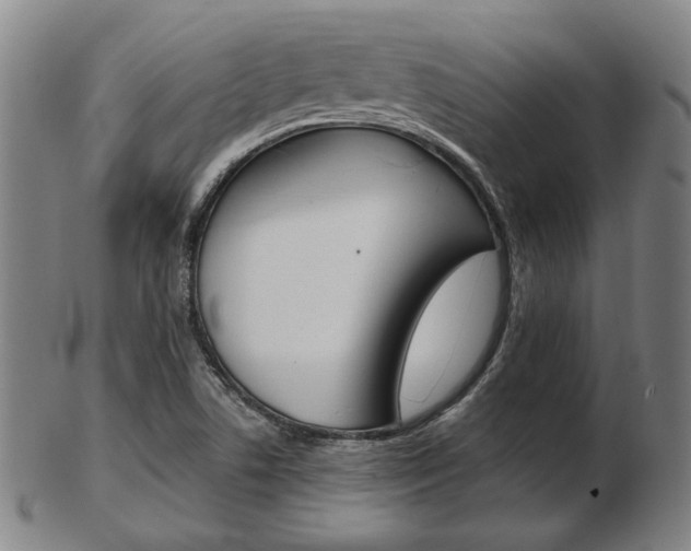 X0000103481506200809120916