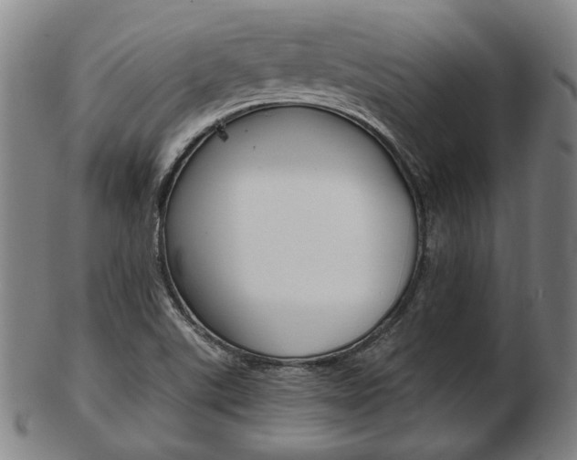 X0000103481507200809120916
