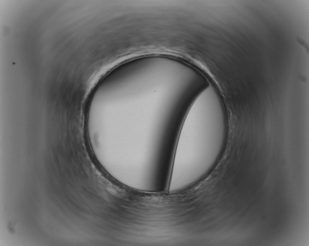 X0000103481508200809120916