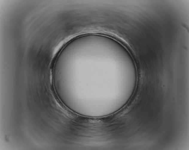 X0000103481509200809120916