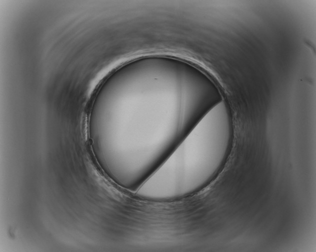 X0000103481510200809120916