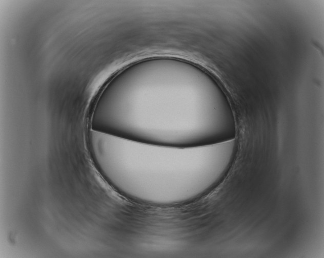 X0000103481511200809120916