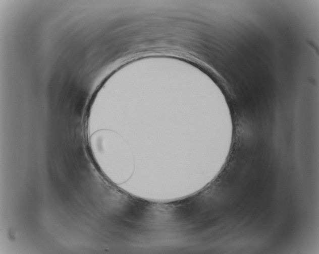 X0000103481514200809120916