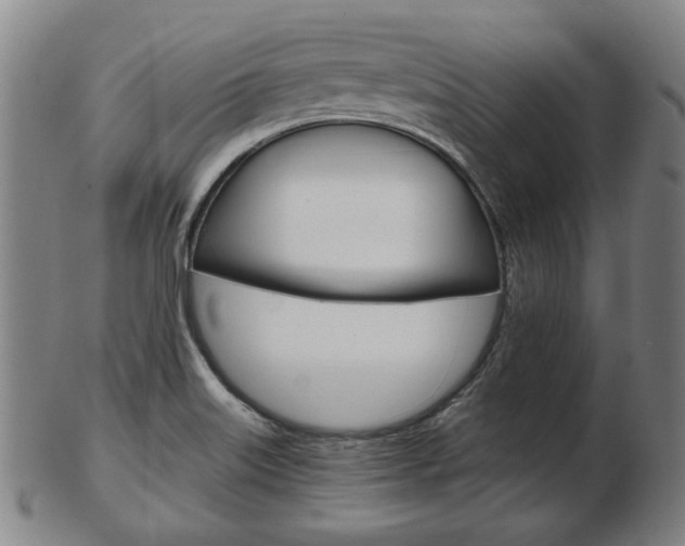 X0000103481515200809120916