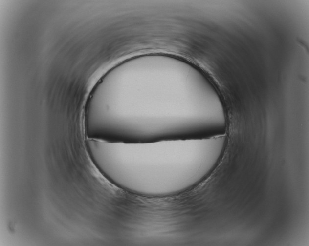 X0000103481516200809120916