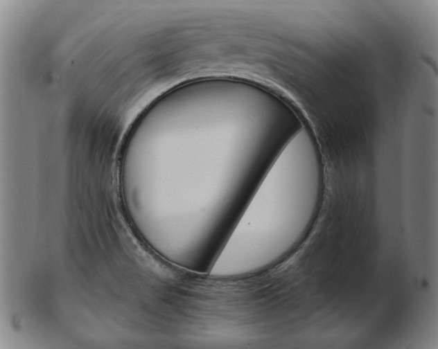 X0000103481517200809120916