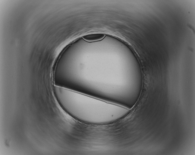 X0000103481519200809120916