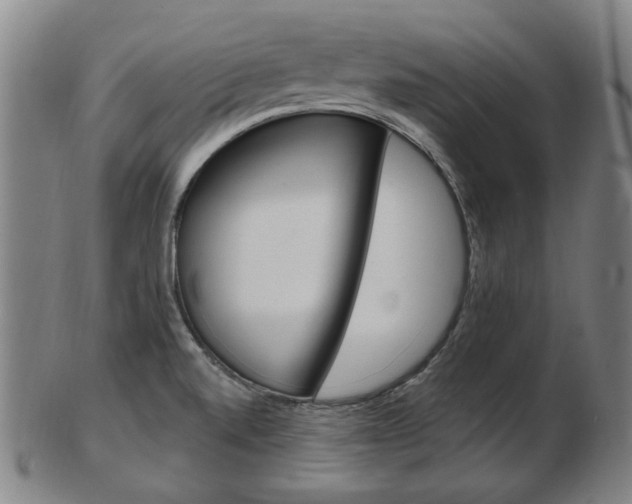 X0000103481520200809120916