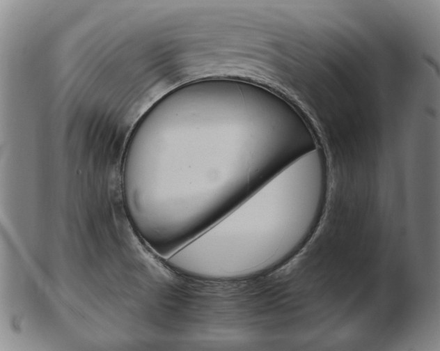 X0000103481521200809120916