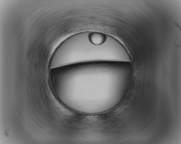 X0000103481523200809120916