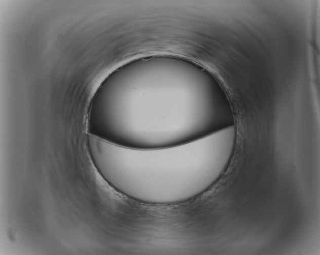 X0000103481524200809120916