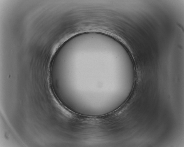 X0000103481525200809120916