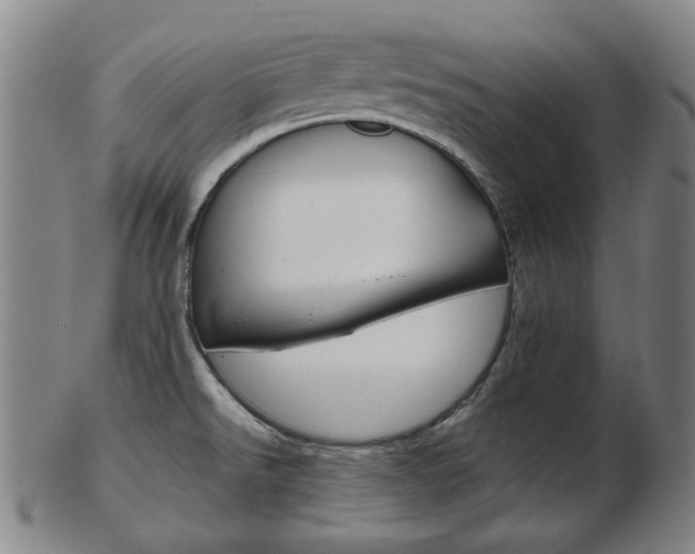 X0000103481526200809120916