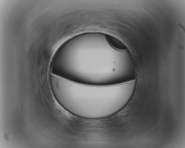 X0000103481527200809120916