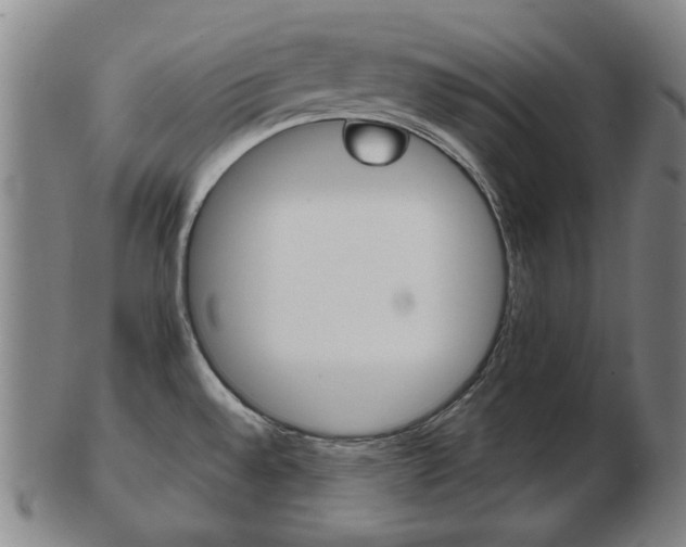 X0000103481528200809120916