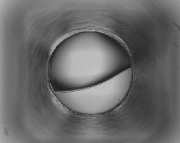 X0000103481530200809120916