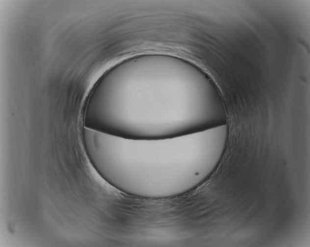 X0000103481531200809120916