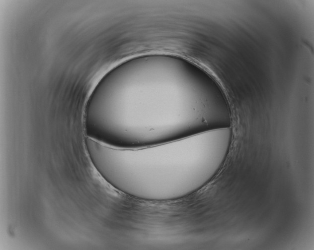 X0000103481532200809120916