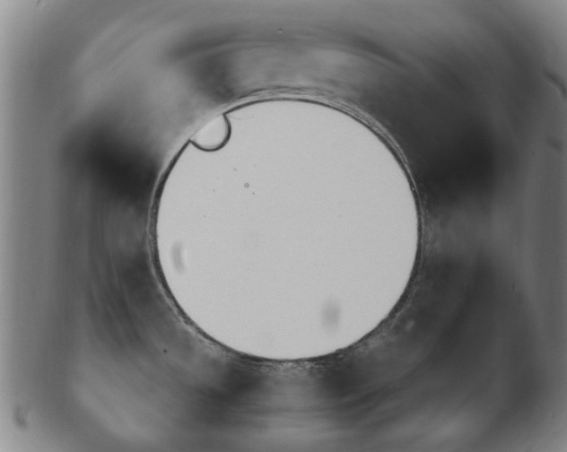 X0000103481533200809120916