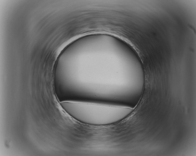 X0000103481534200809120916