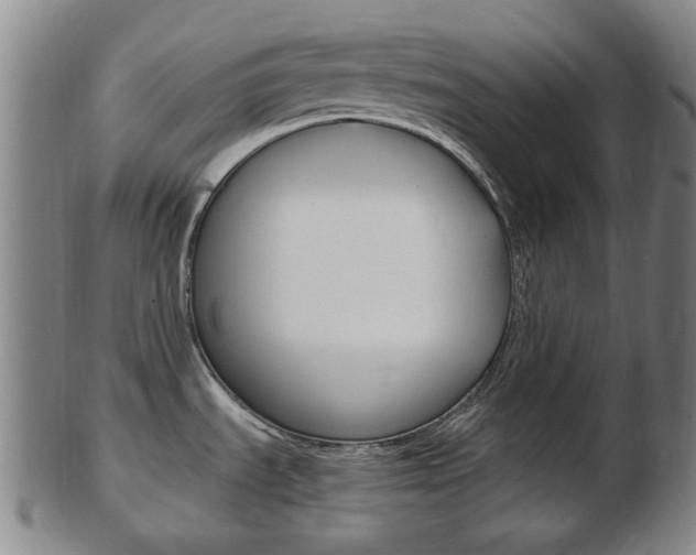 X0000103481535200809120916