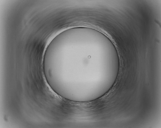 X0000103481536200809120916
