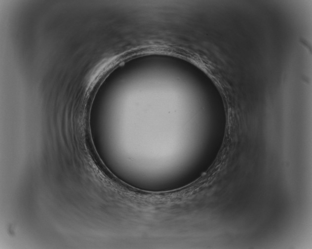 X0000103480007200809121700