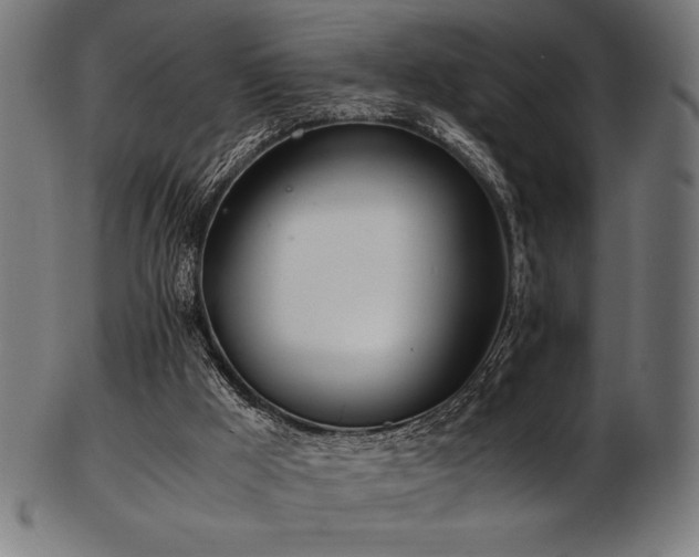 X0000103480009200809121700